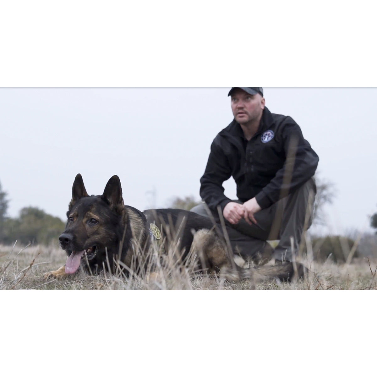 35 Project K 9 Hero MWD Women s T Shirt by Nine Line