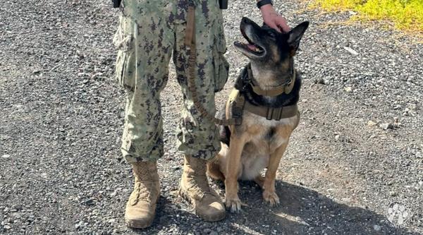 Welcome MWD Atina #331