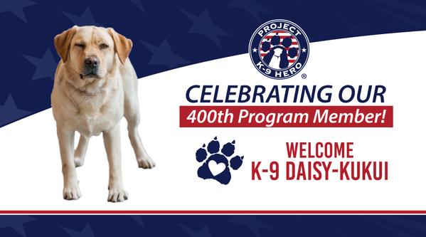 Welcome K-9 Daisy-Kukui #400