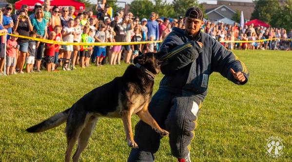 Welcome K-9 Havoc #399