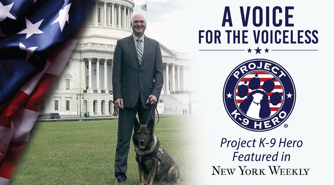 A Voice for the Voiceless - PK9H Featured in New York Weekly