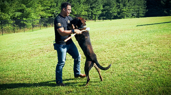 Watch MWD Archer & Caleb Reunite