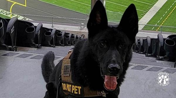 Welcome K-9 Areck #336