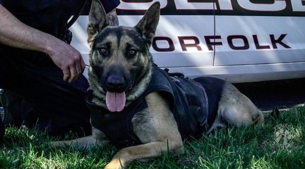 Welcome K-9 A.C. #364