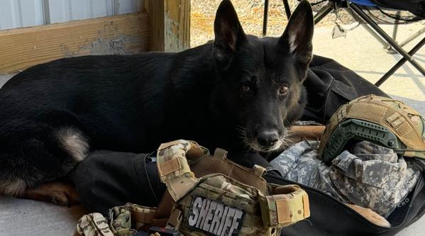 Welcome K-9 Axel #346