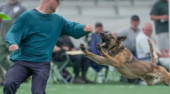 Welcome K-9 Burt #404