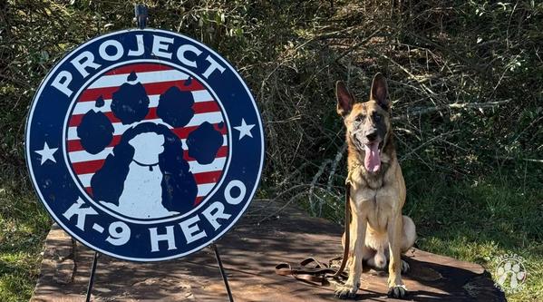 Welcome K-9 Guapo #356