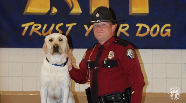 Welcome K-9 Harry #352
