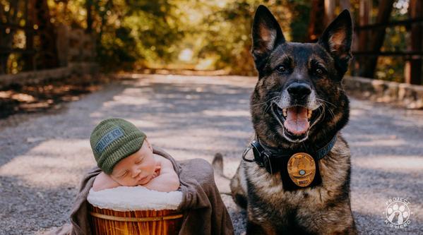 Welcome K-9 Indy #353
