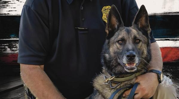 Welcome K-9 Jack #344