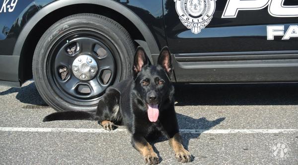 Welcome K-9 Jagger #359