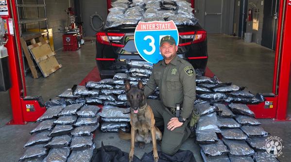 Welcome K-9 Kato #351