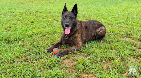 Welcome K-9 Pope #398