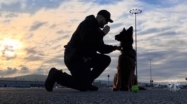 Welcome K-9 Rocky #402
