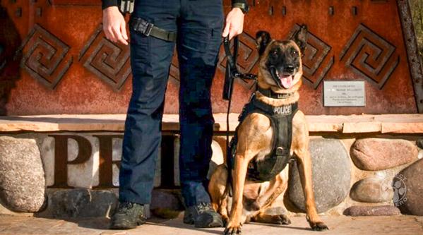 Welcome K-9 Usirev #366