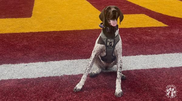 Welcome K-9 Vidam #361