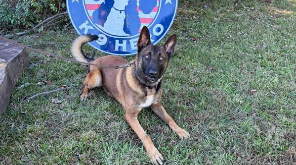 Welcome MPC HHudson #412