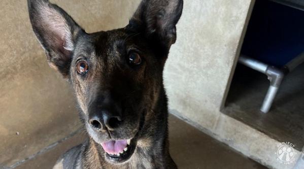 Welcome MWD Adri #357