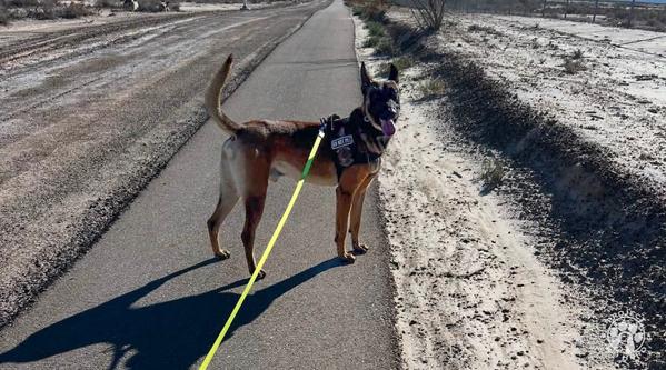 Welcome MWD Aman #397