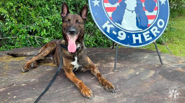 Welcome MWD Archer #395