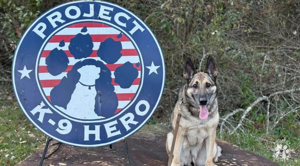 Welcome MWD Emese #362