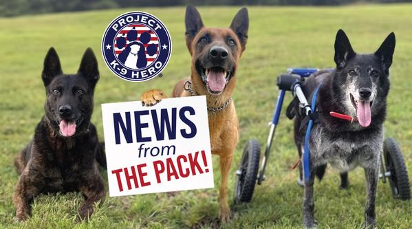 Monthly Newsletter July 2025