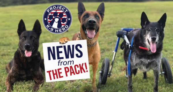 Monthly Newsletter May 2026