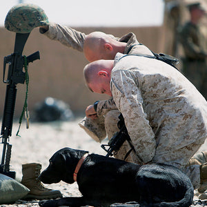 Sgt. Yeager and two Marines kneeling at a memorial for his handler.