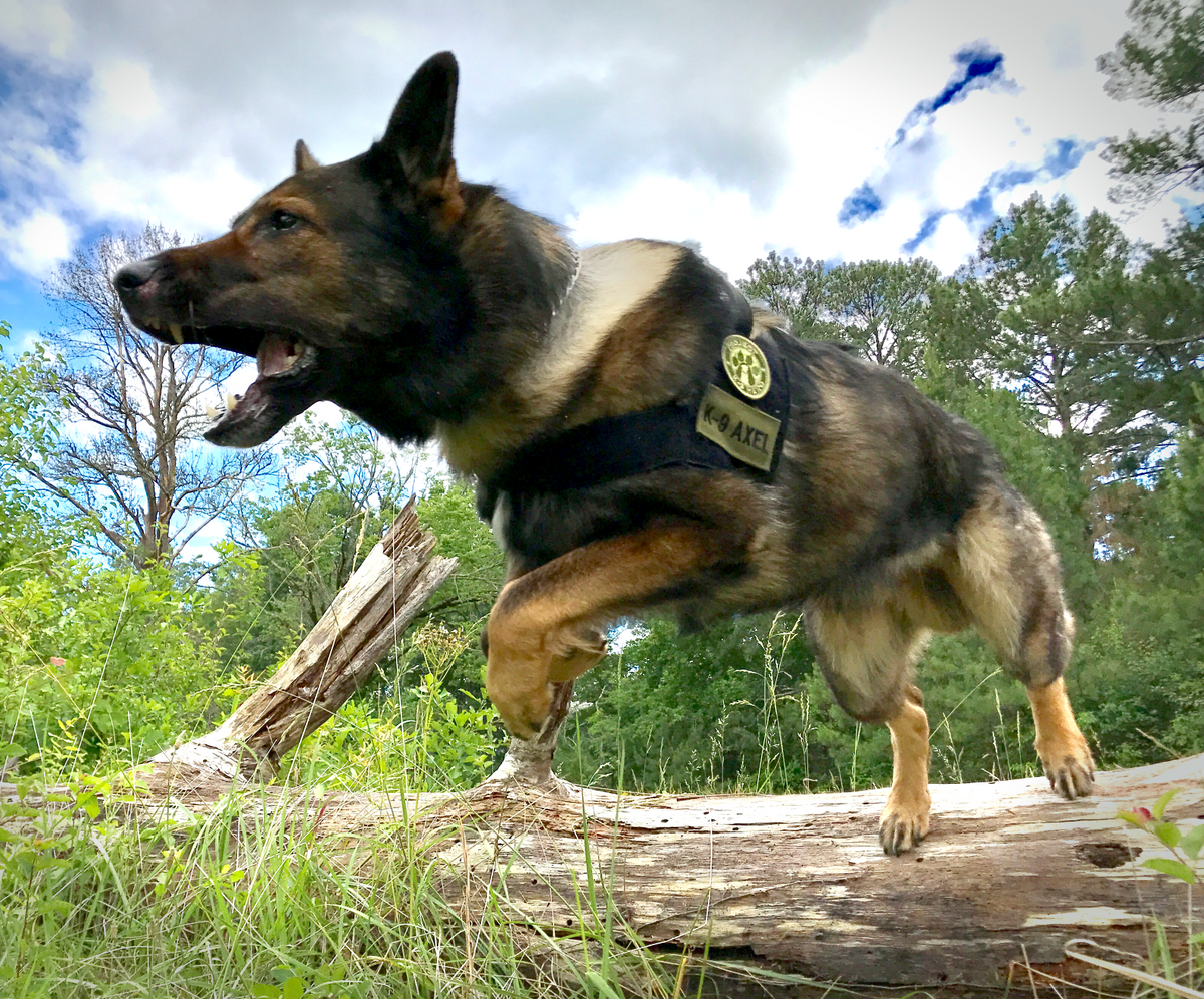Project K-9 Hero | Protecting Those Who Protected Us!