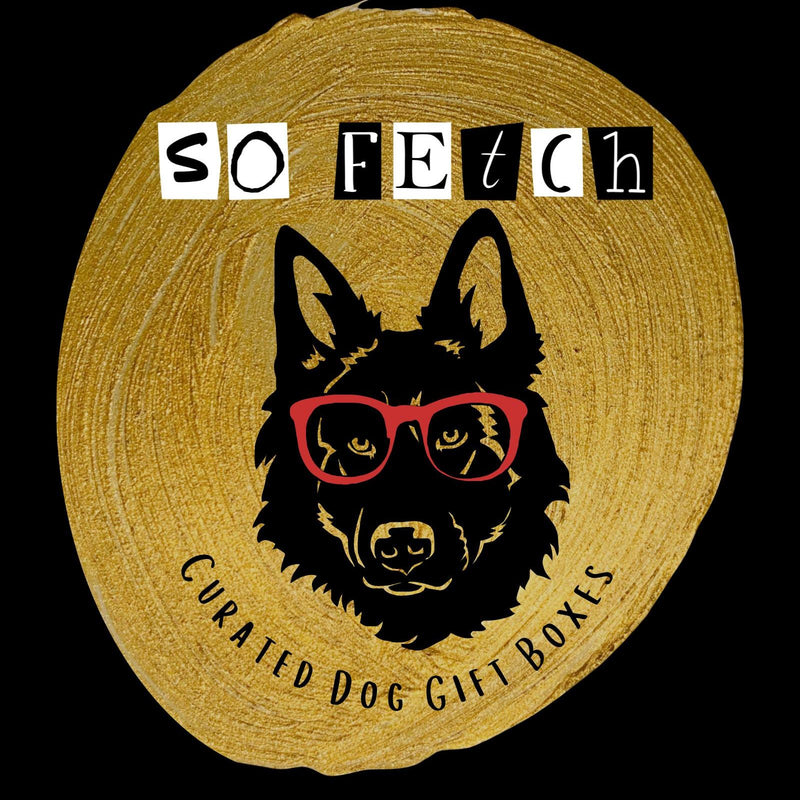 So Fetch Background Our Partners – Project K-9 Hero