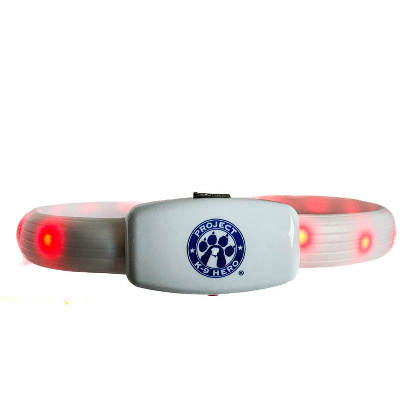 Halo Lights LED Safety Dog Collar