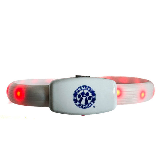Halo Lights LED Safety Dog Collar