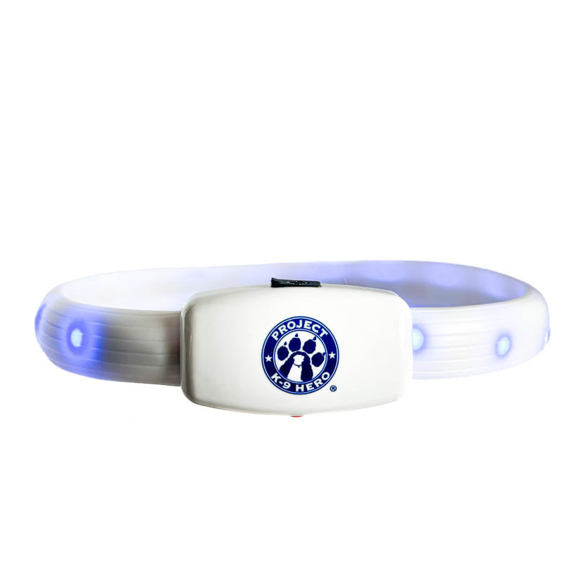 Halo Lights LED Safety Dog Collar