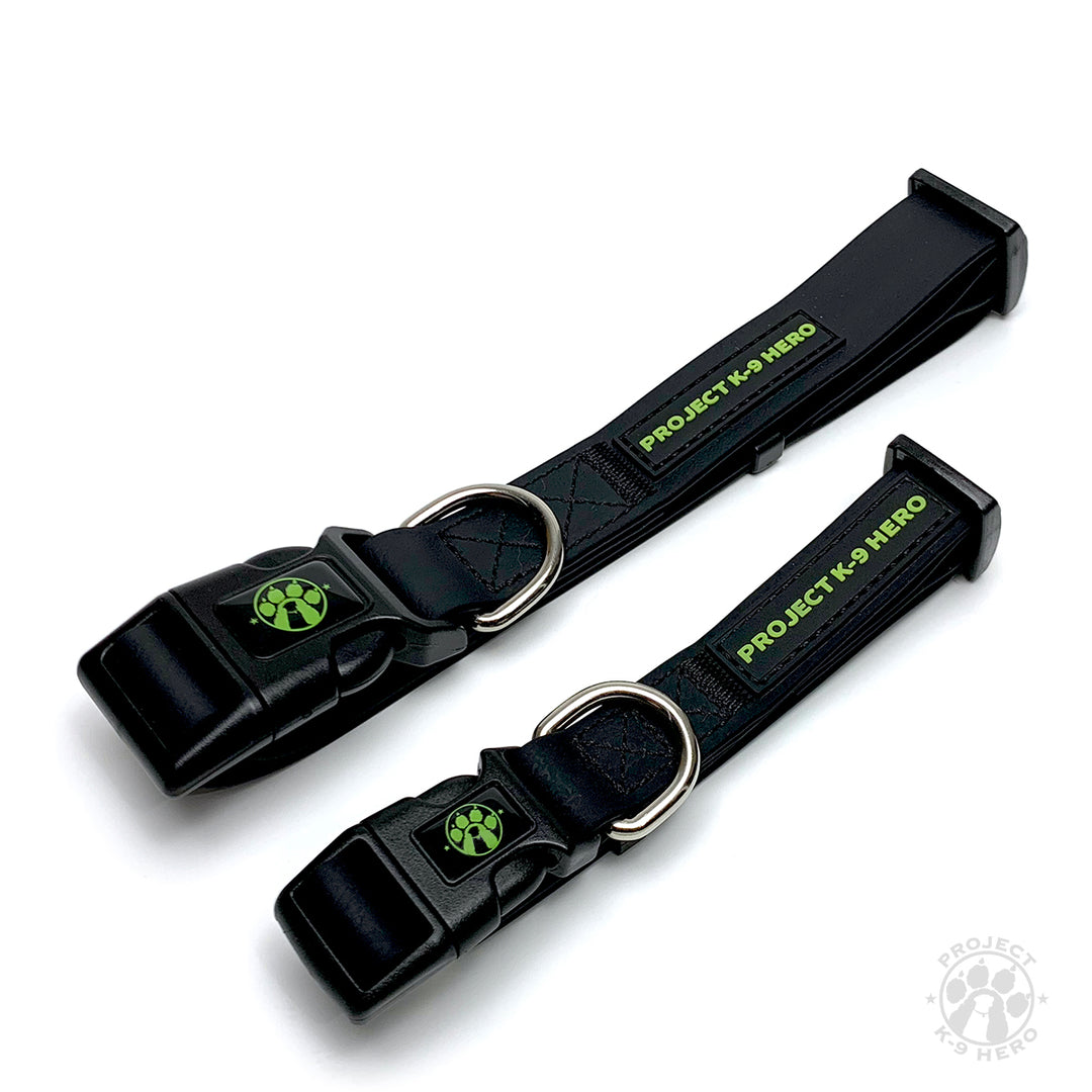 Large Dog Collar