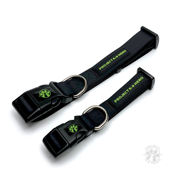 Large Dog Collar