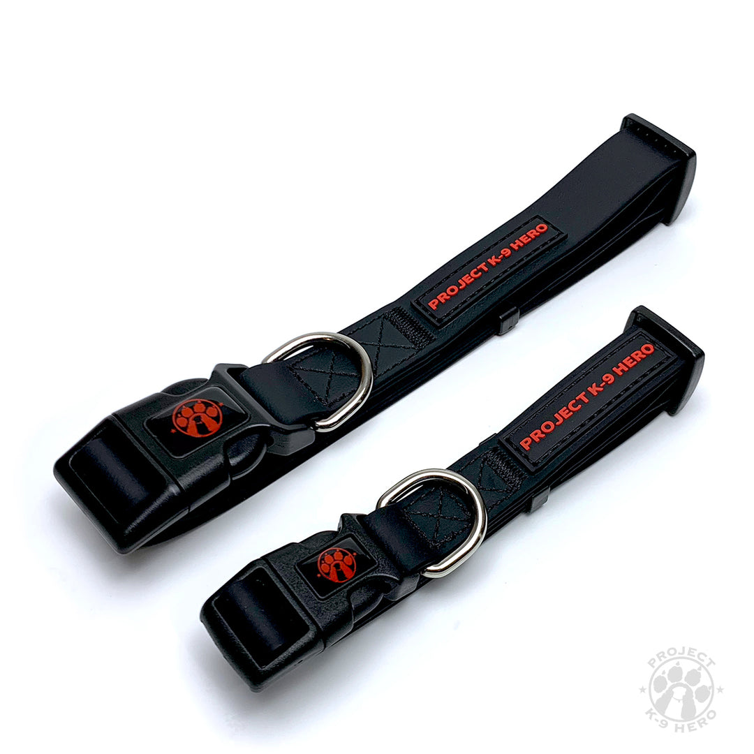 Large Dog Collar