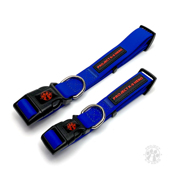 Small Dog Collar