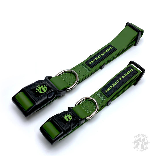 Large Dog Collar