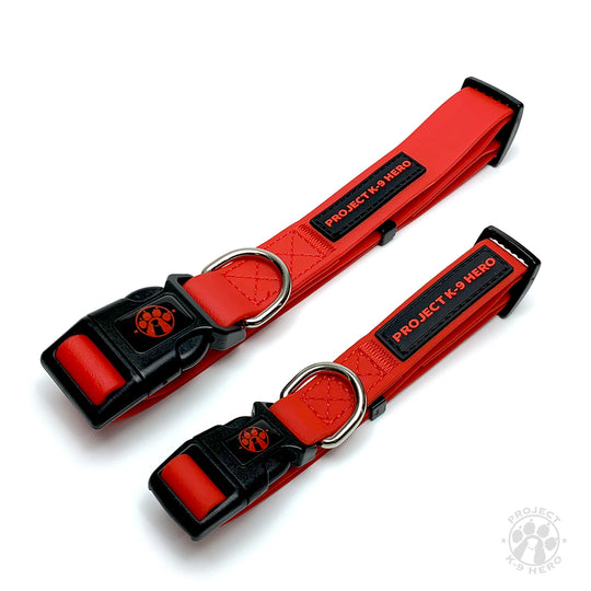 Small Dog Collar
