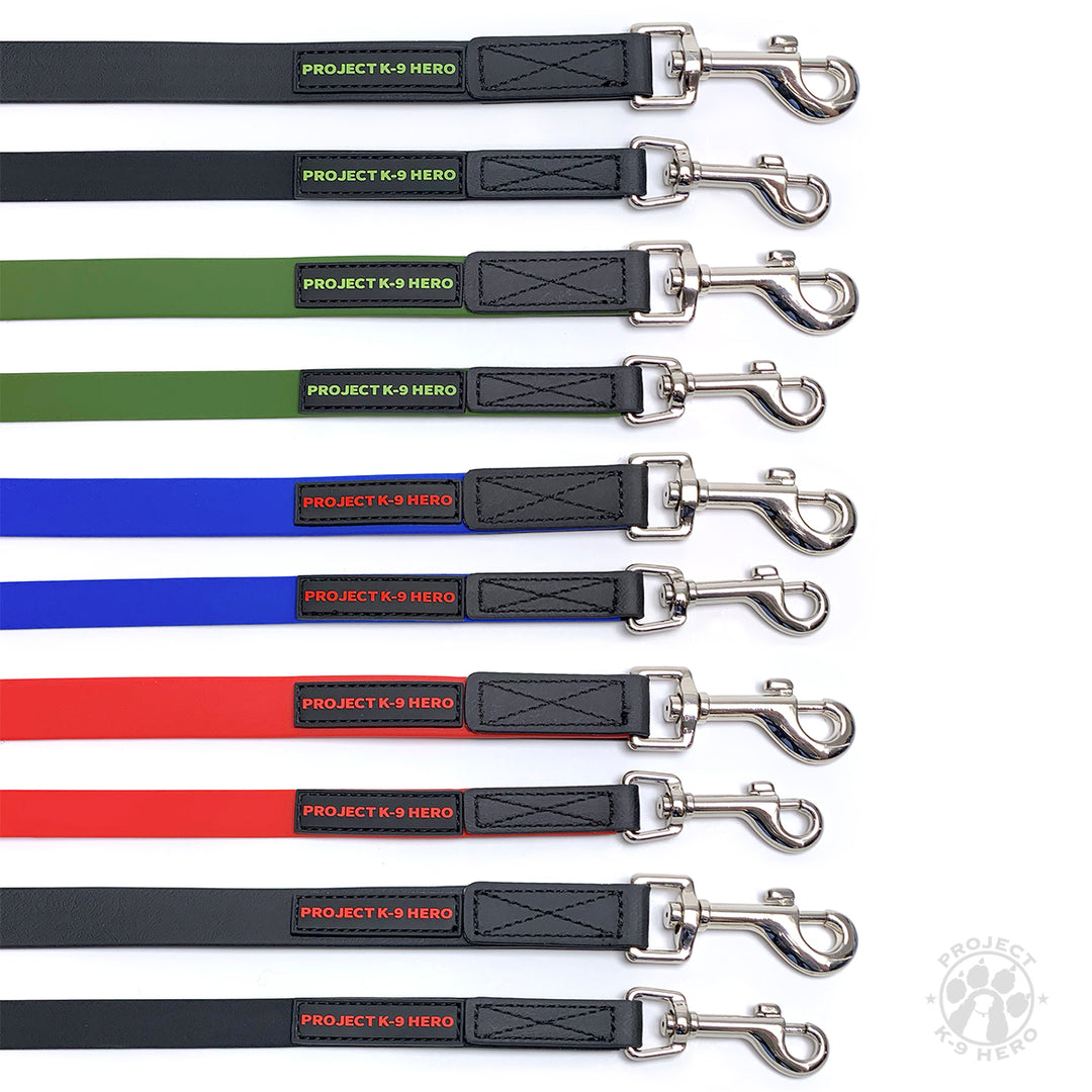 Small Dog Lead